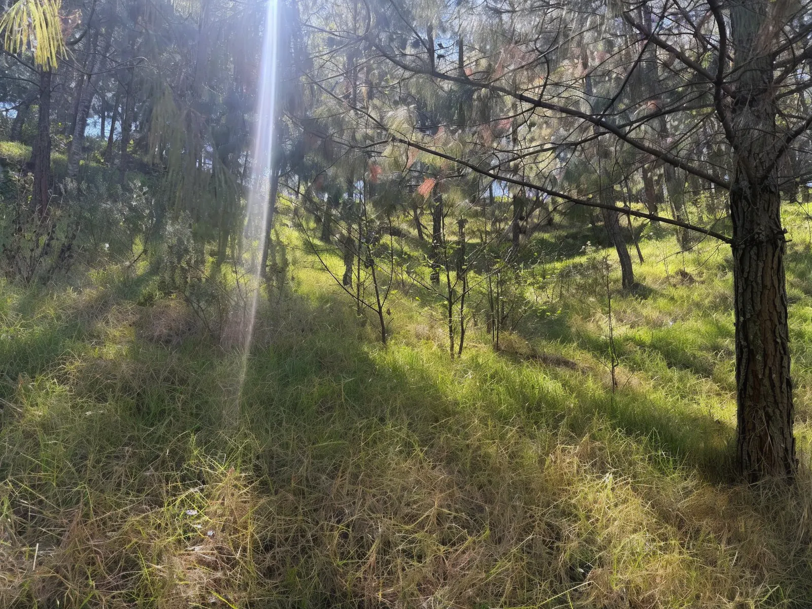 Terreno Spot2