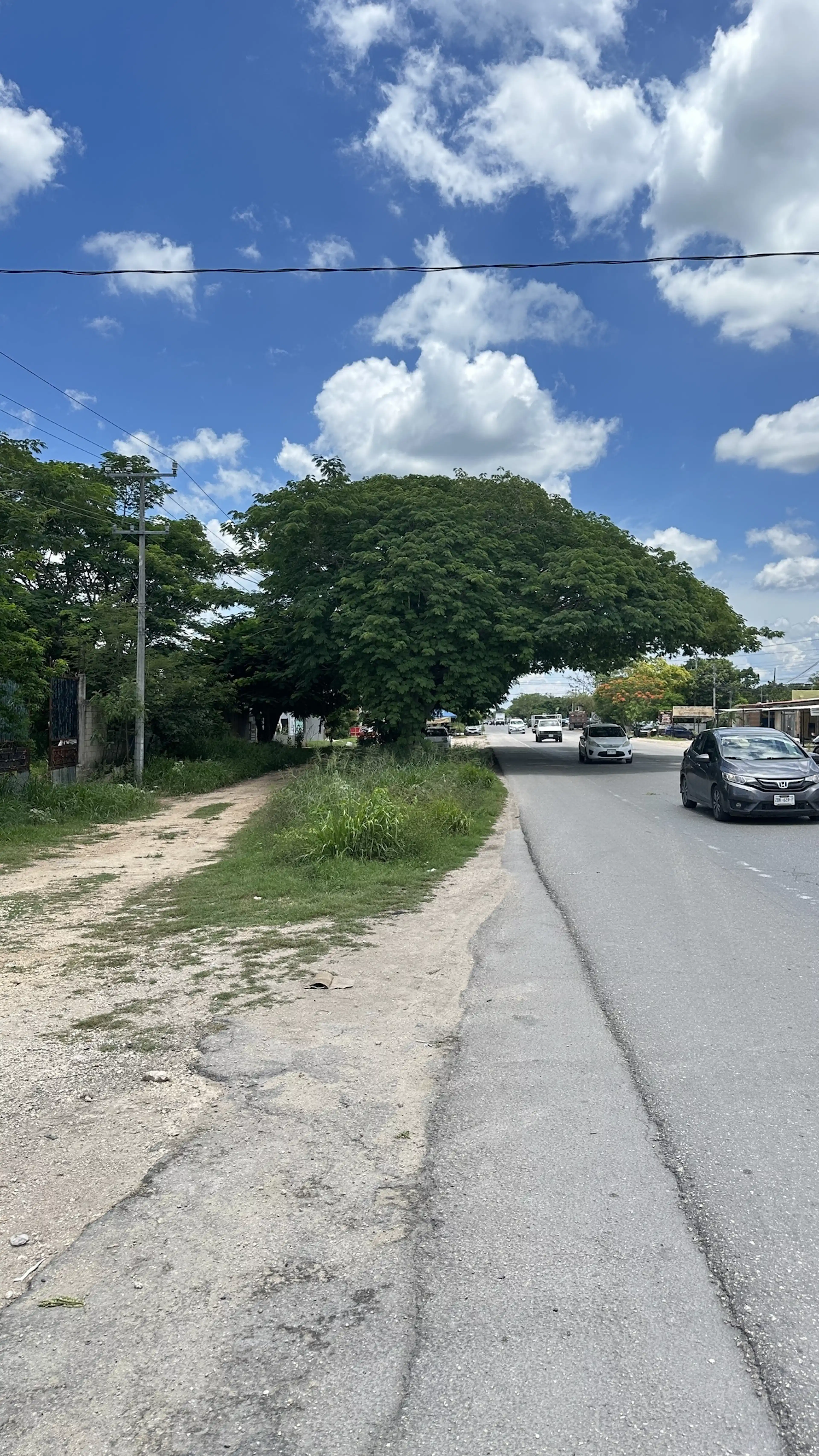 Bodega de 400 m2 sobre carretera