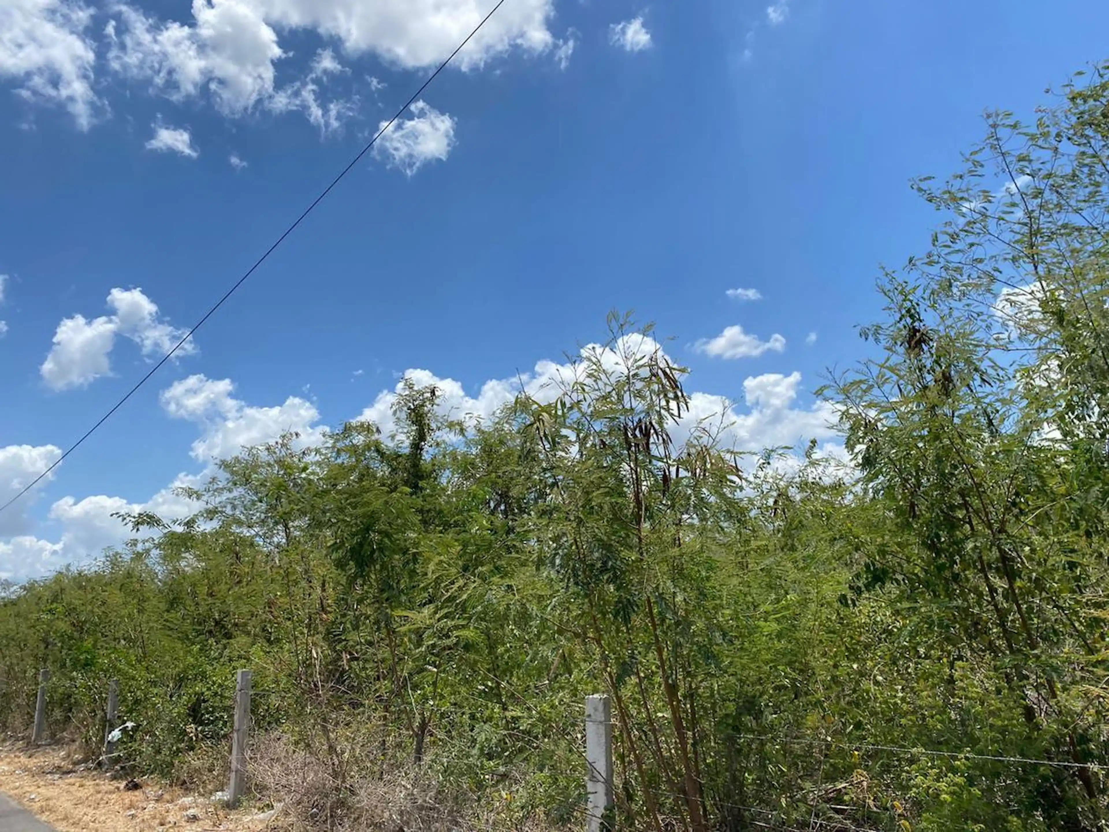 Terreno En Venta En Tixcacal