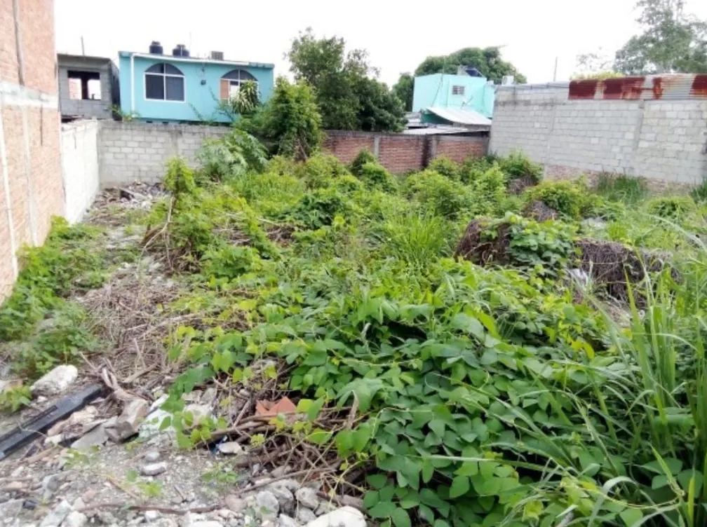Terreno Spot2