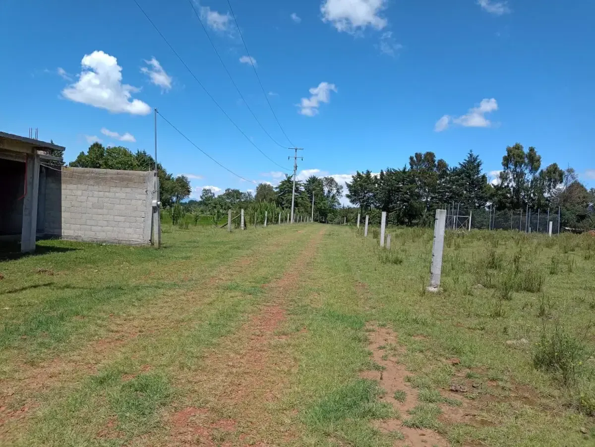 Terreno Spot2