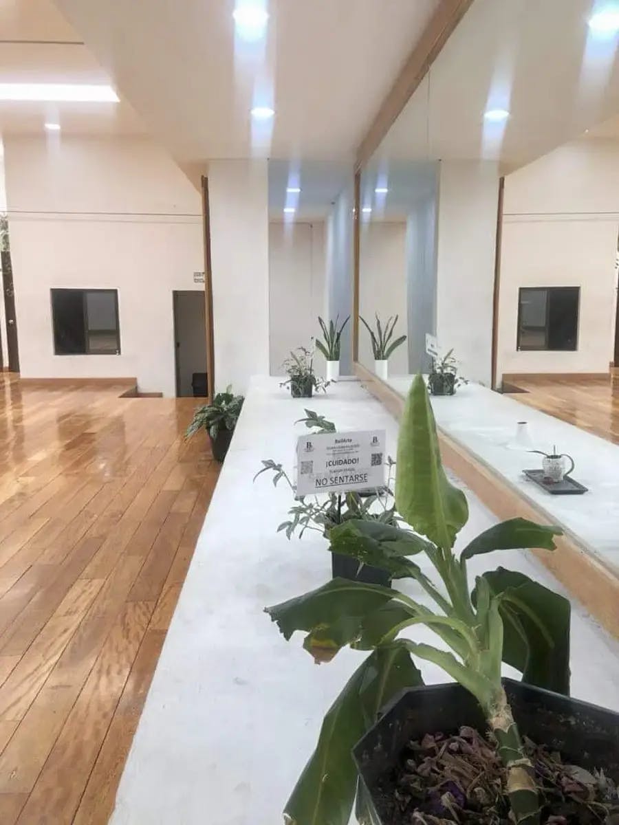 Local Comercial Spot2