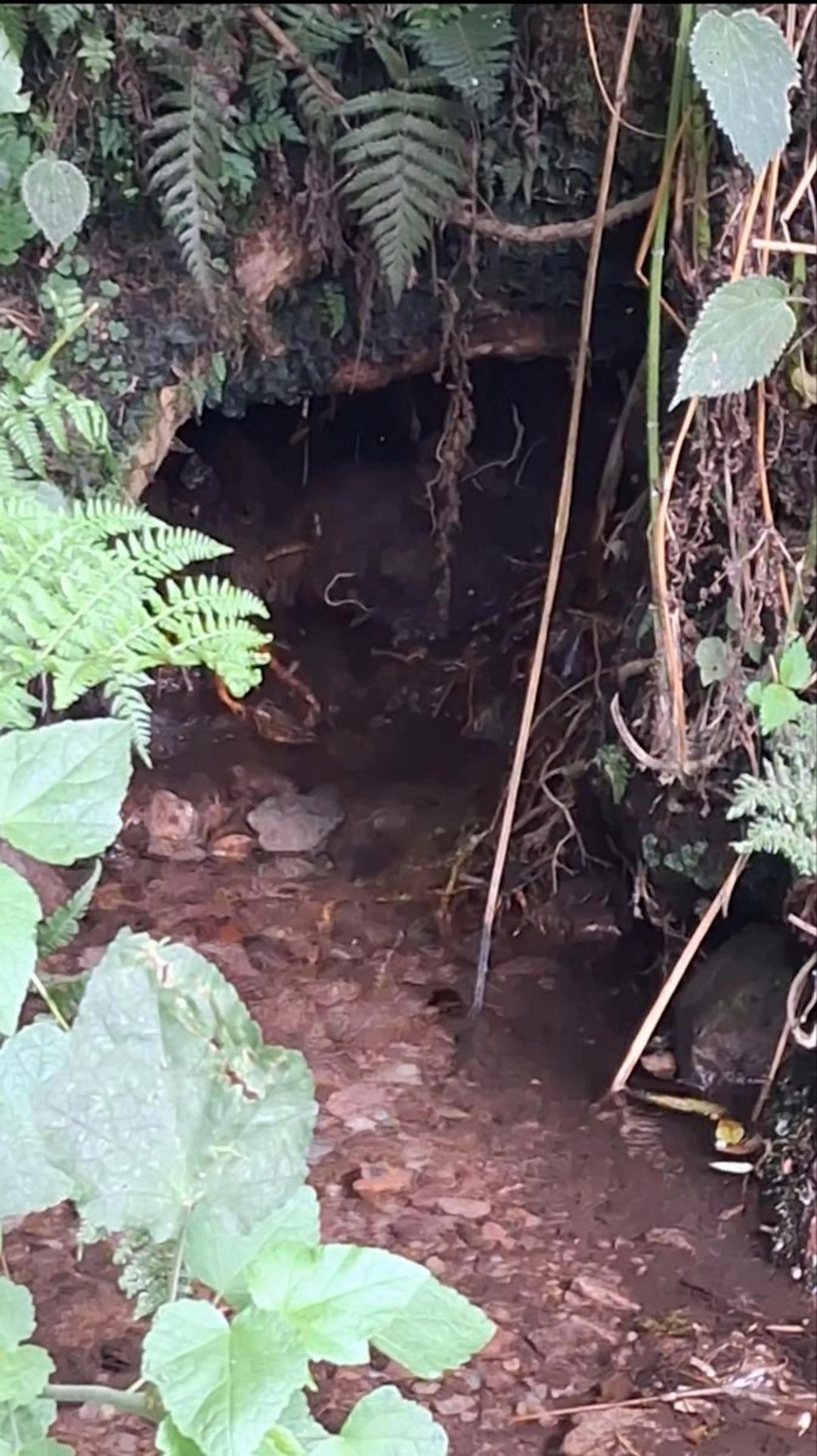 Terreno en Rincon de Guadalupe