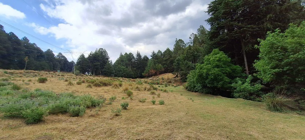 Terreno Spot2