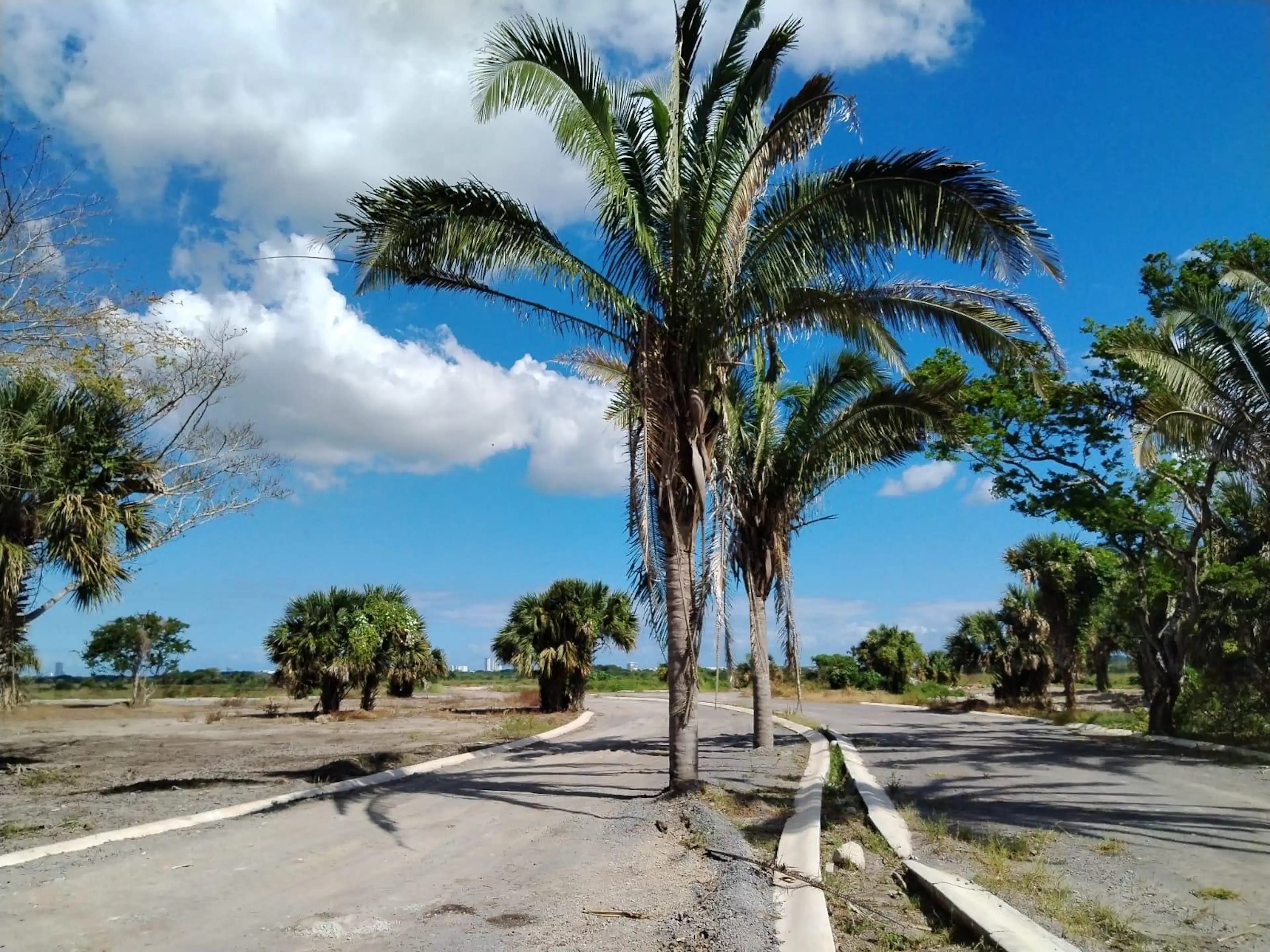 Terreno En Venta Fracc. Viento Sur, Medellín Bravo Veracruz
