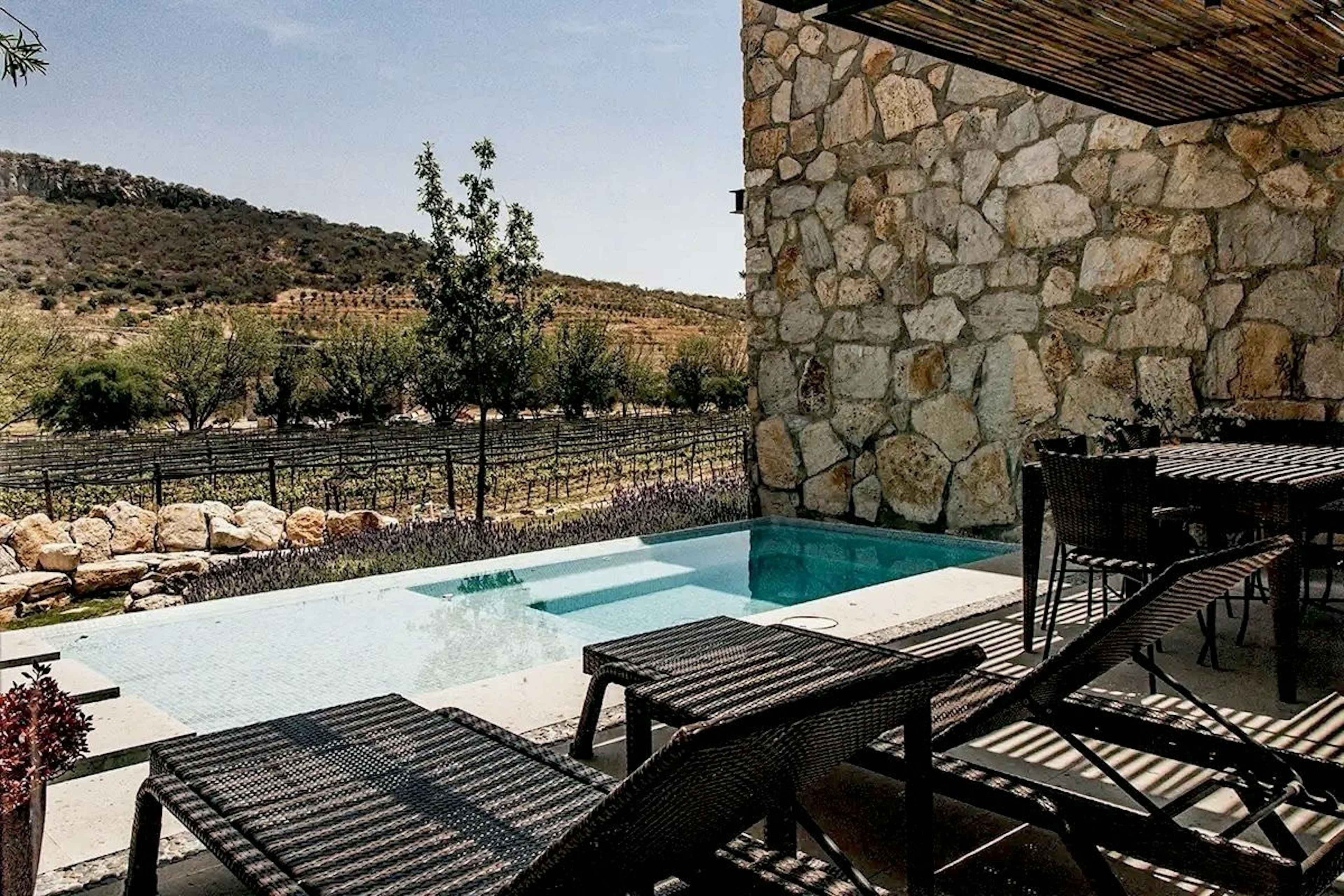 Terreno En Venta Con Viñedo En Chichimequillas - La Griega Querétaro