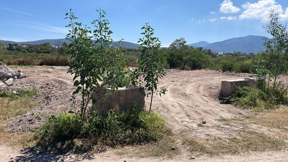 Terreno Spot2