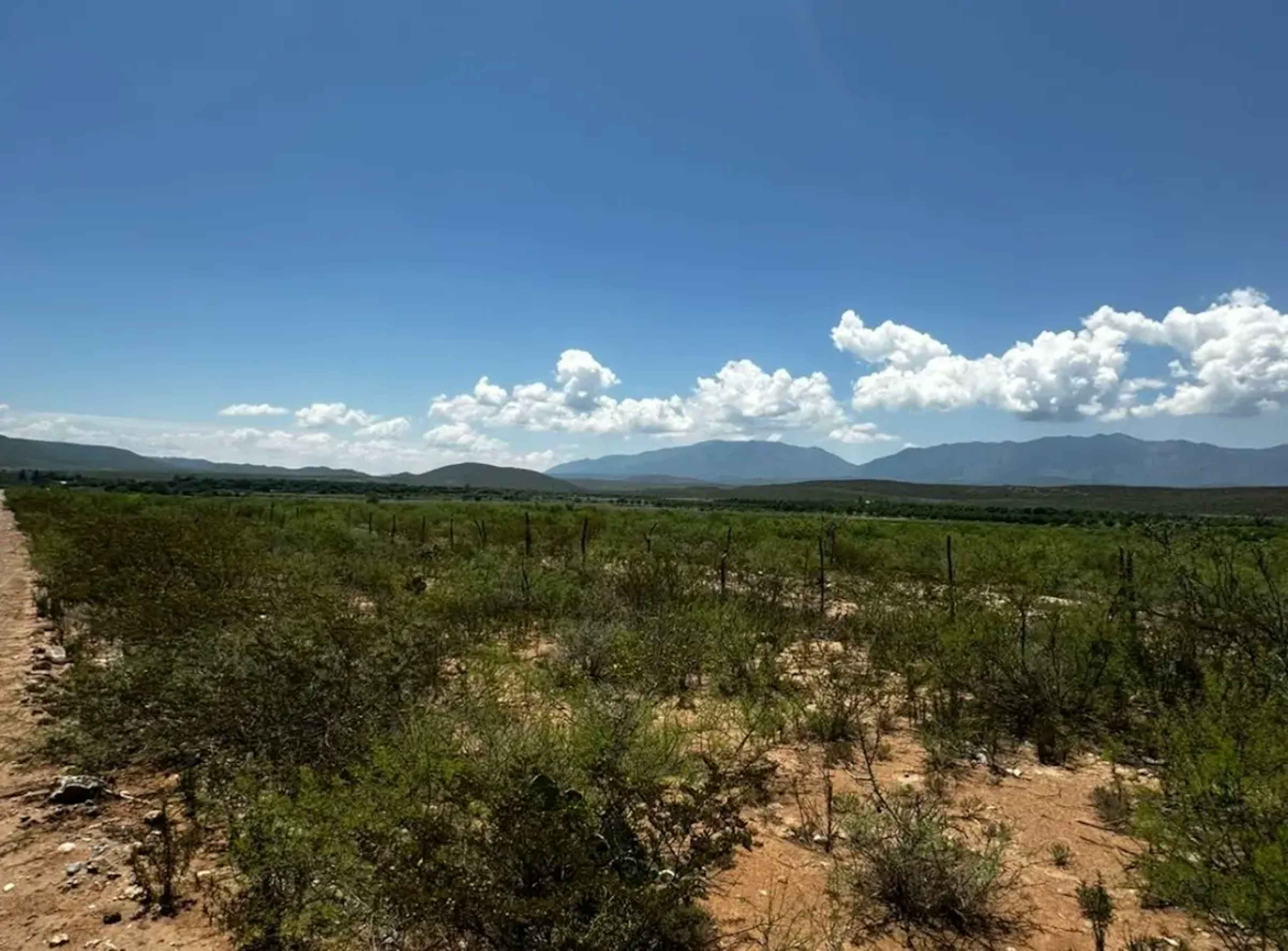 Terreno En Venta En General Cepeda, General Cepeda, Coahuila De Zaragoza