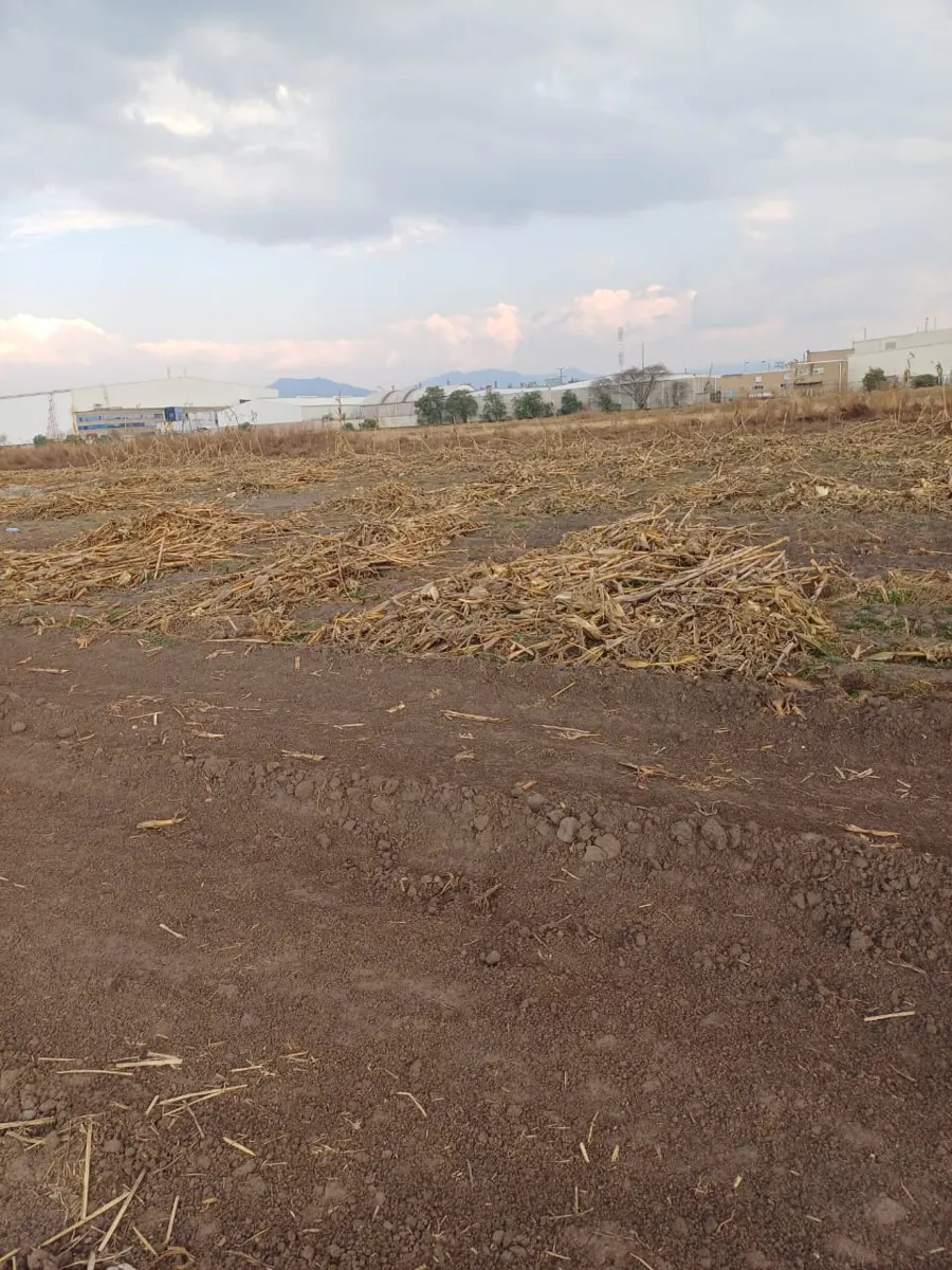 Terreno Spot2