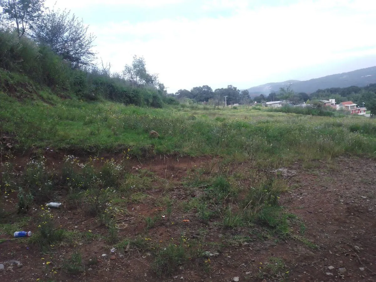 Terreno Spot2