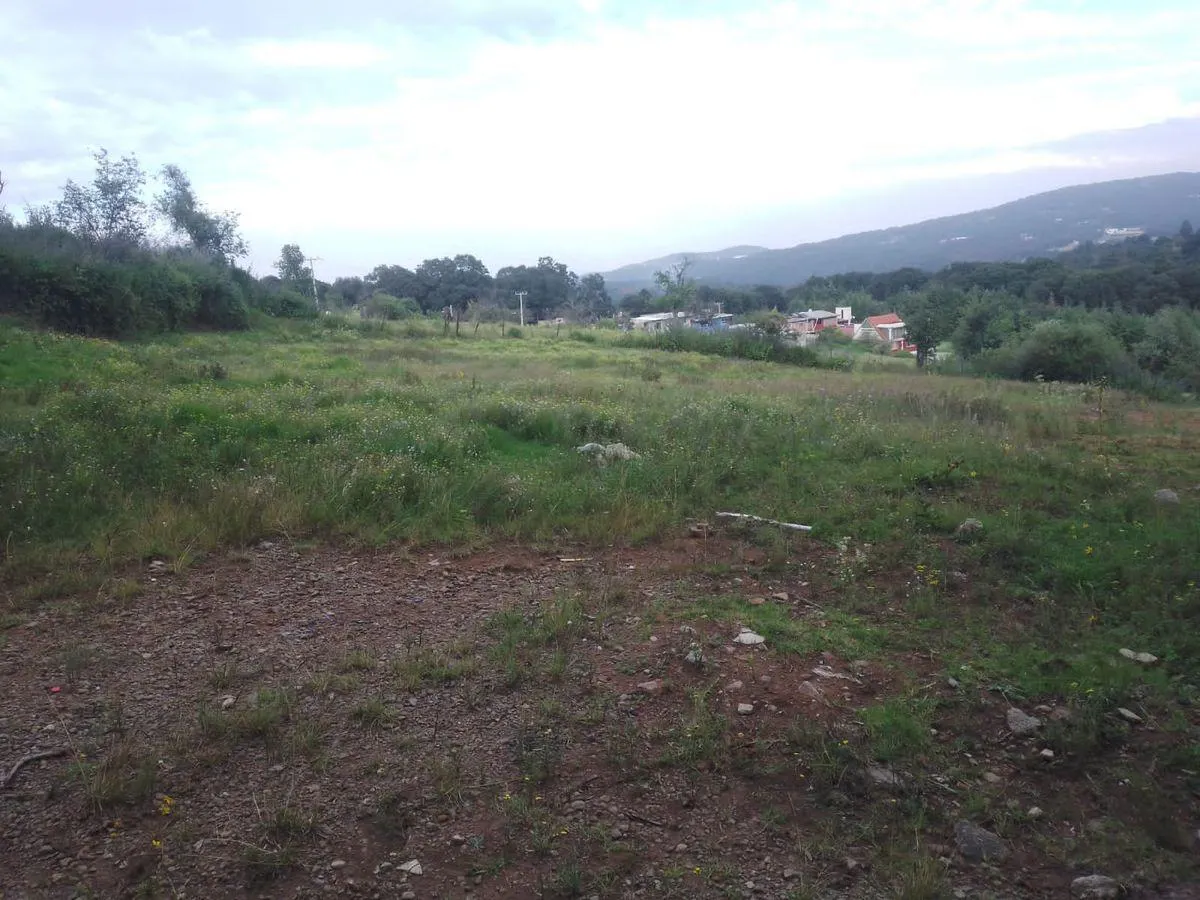 Terreno Spot2