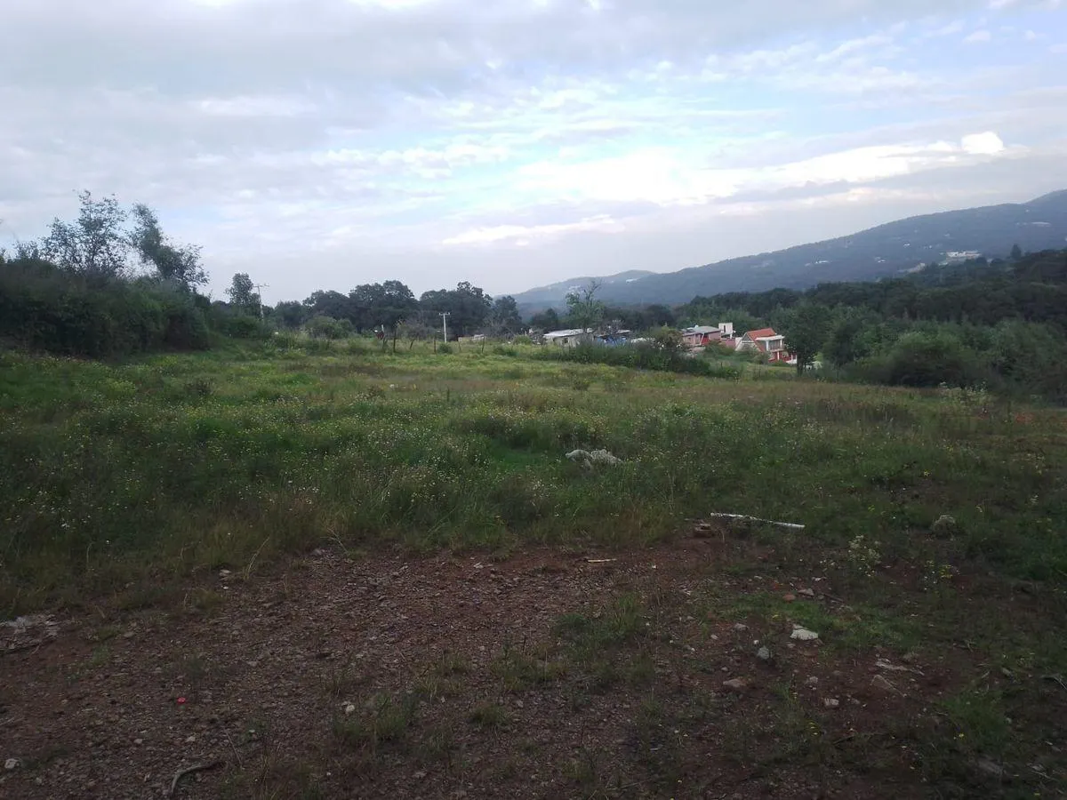Terreno Spot2