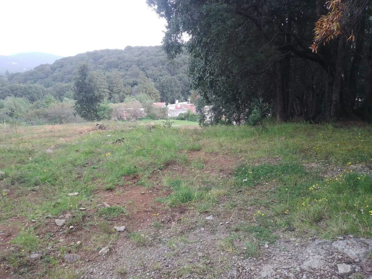 Terreno Spot2