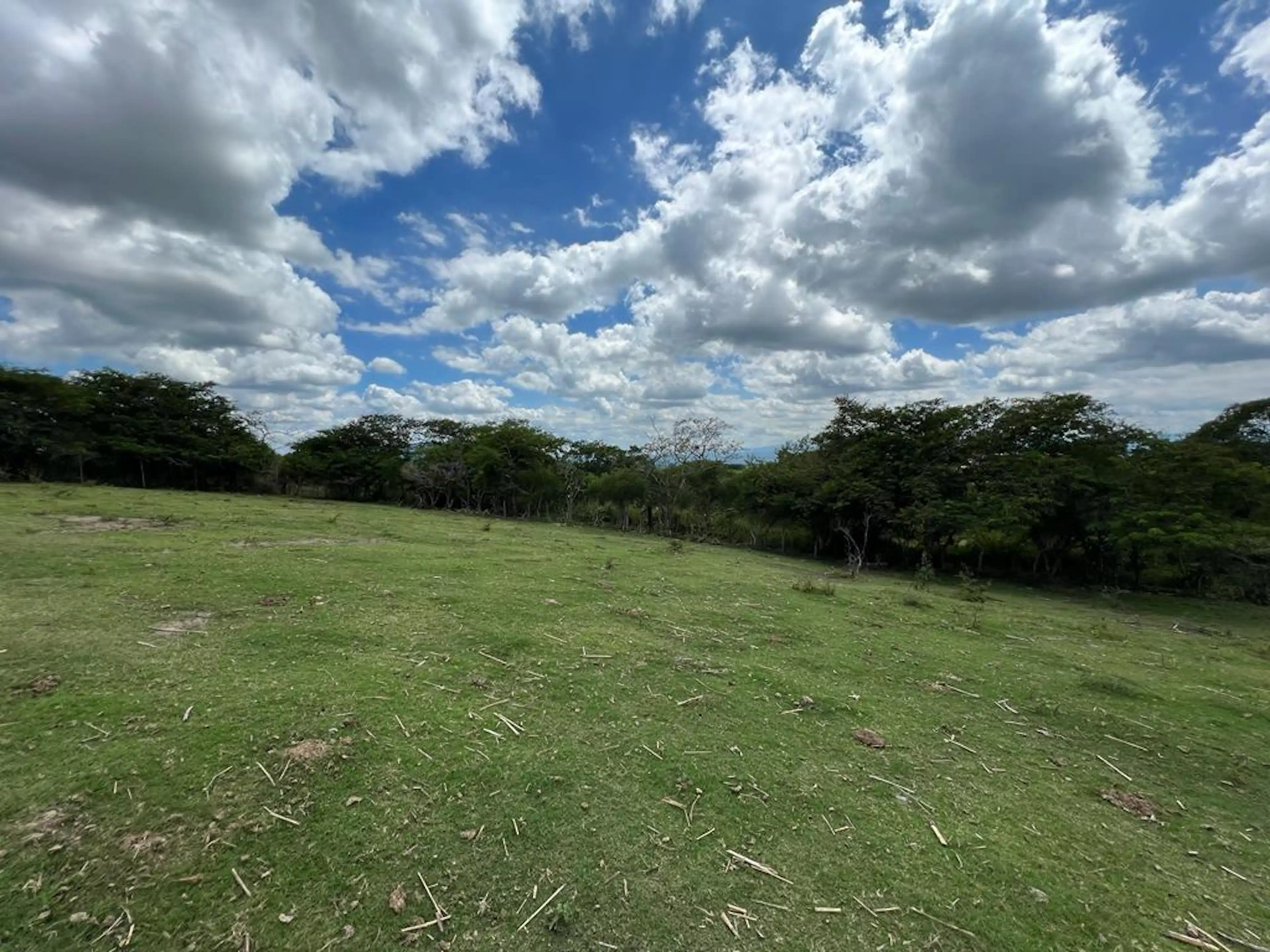 Terreno En Venta El Chico Veracruz