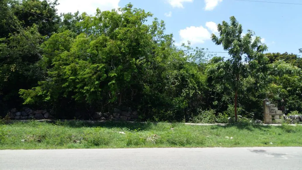 Terreno Spot2