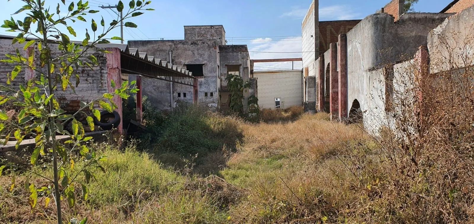 Terreno Spot2