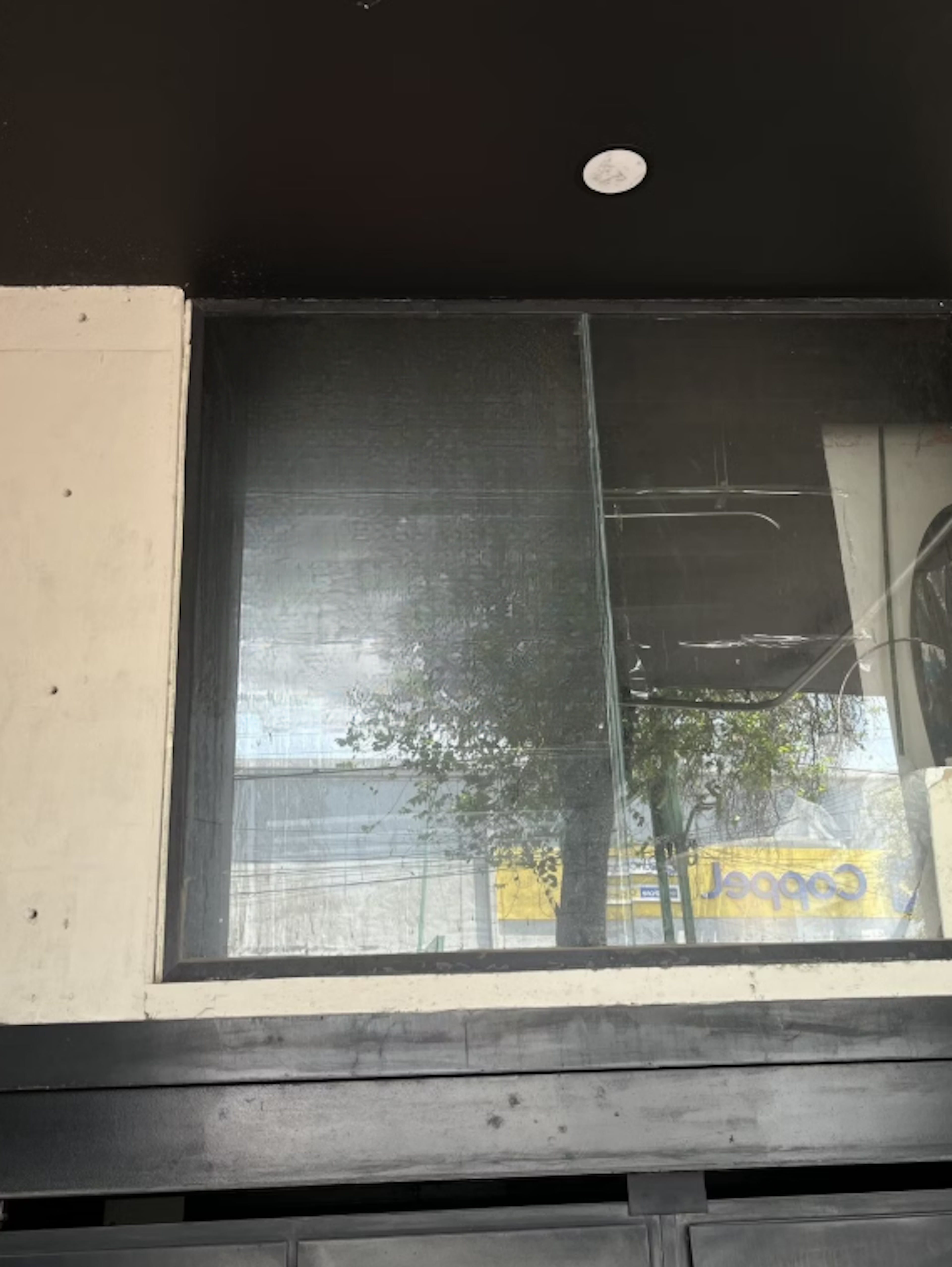 Spot image 0
