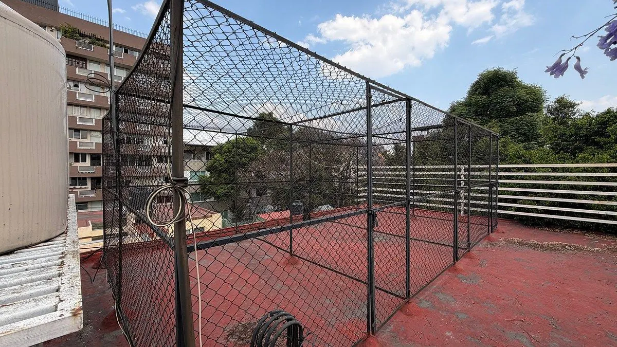 Terreno Spot2