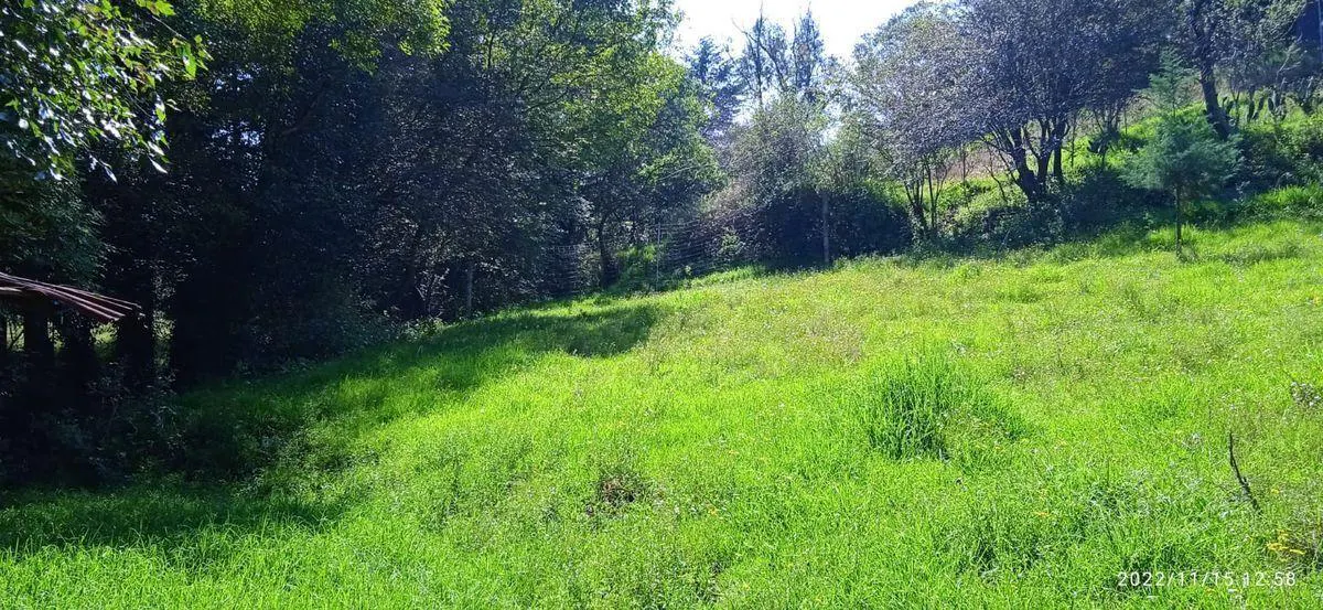 Terreno Spot2