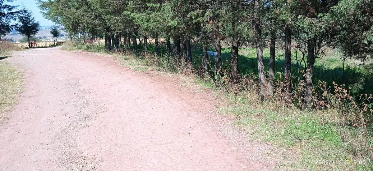 Terreno Spot2