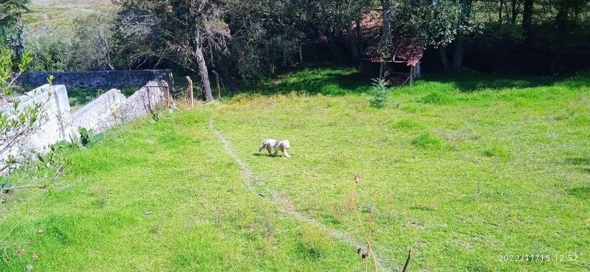 Terreno Spot2