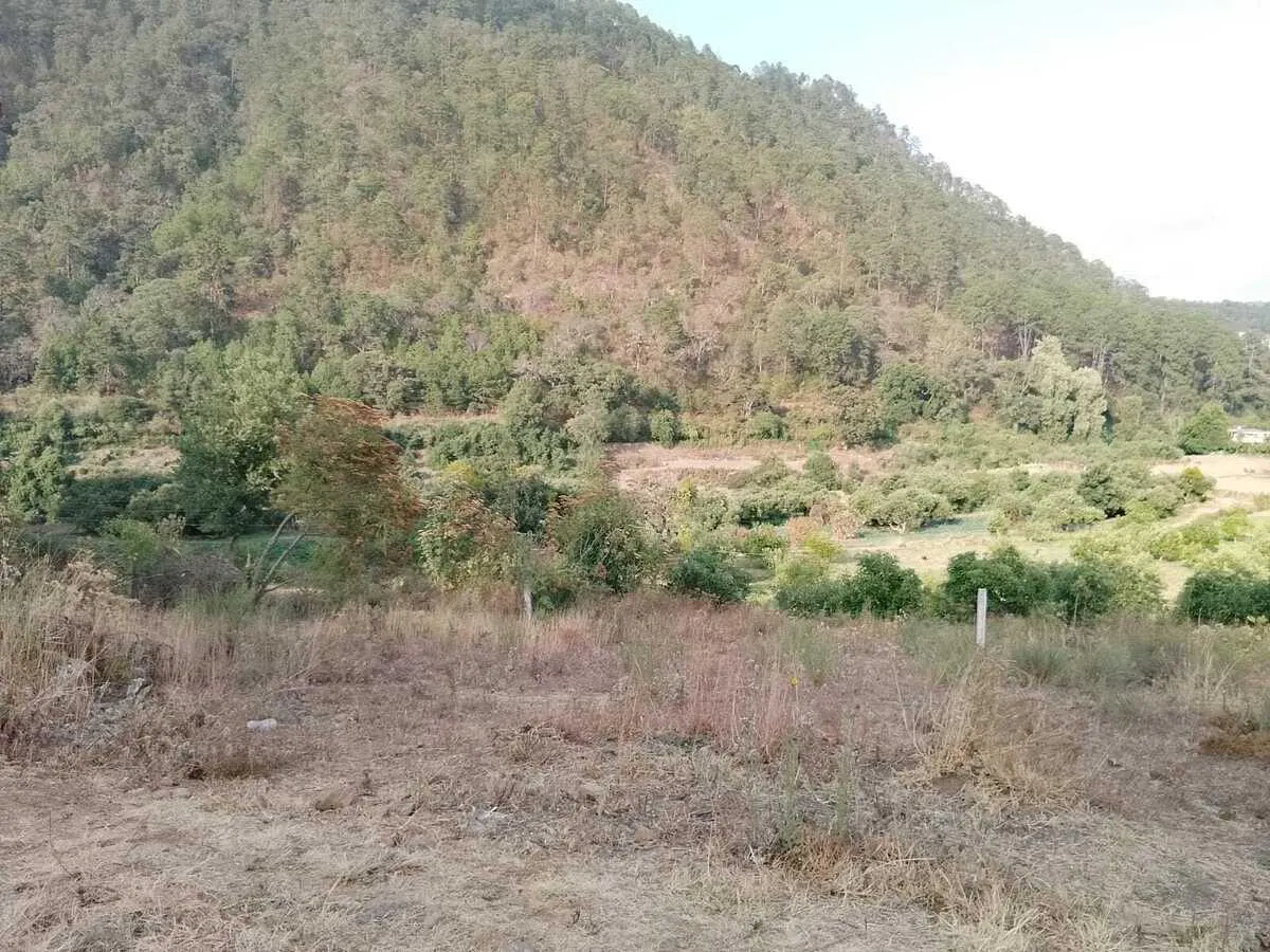 Terreno Spot2
