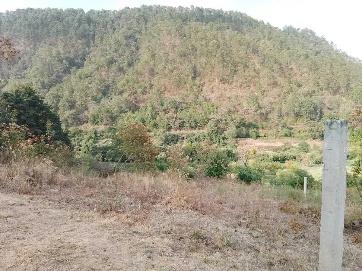 Terreno Spot2