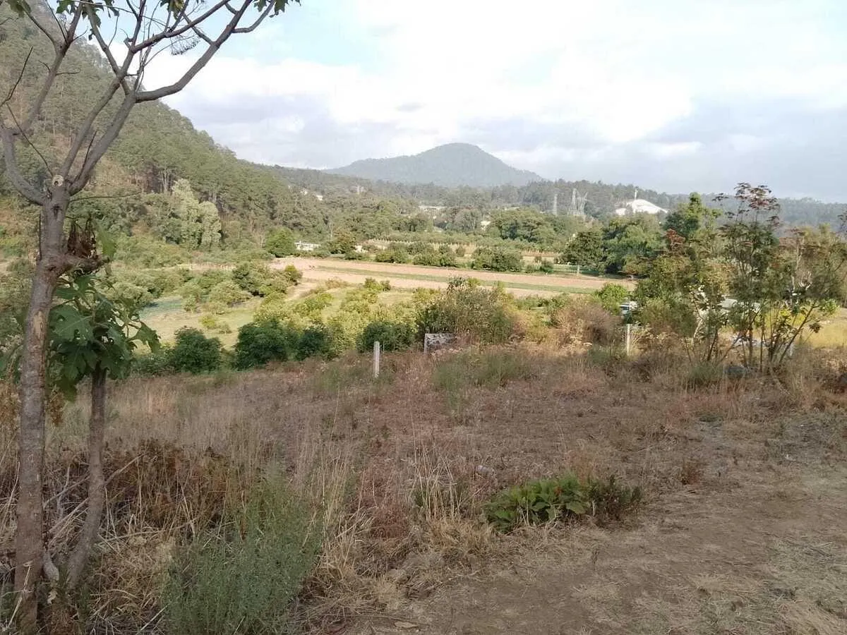 Terreno Spot2