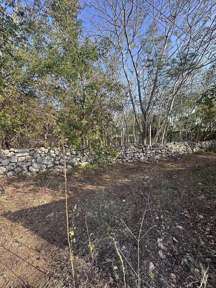 Terreno Spot2