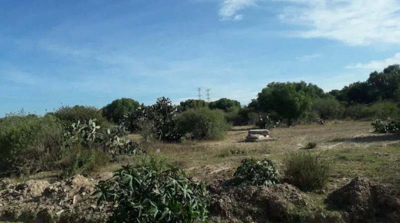 Terreno Spot2