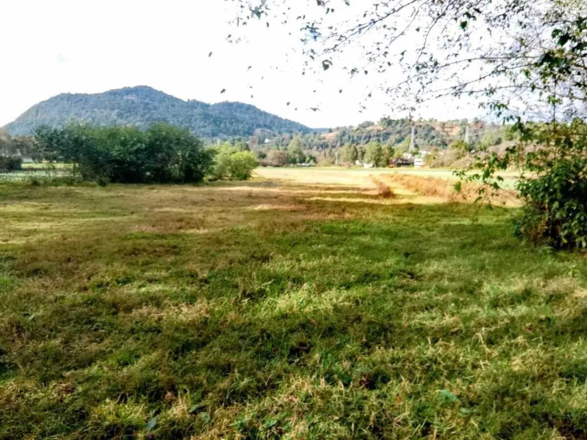 Terreno Spot2