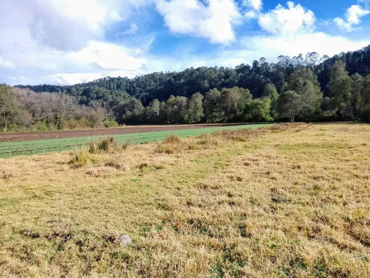 Terreno Spot2