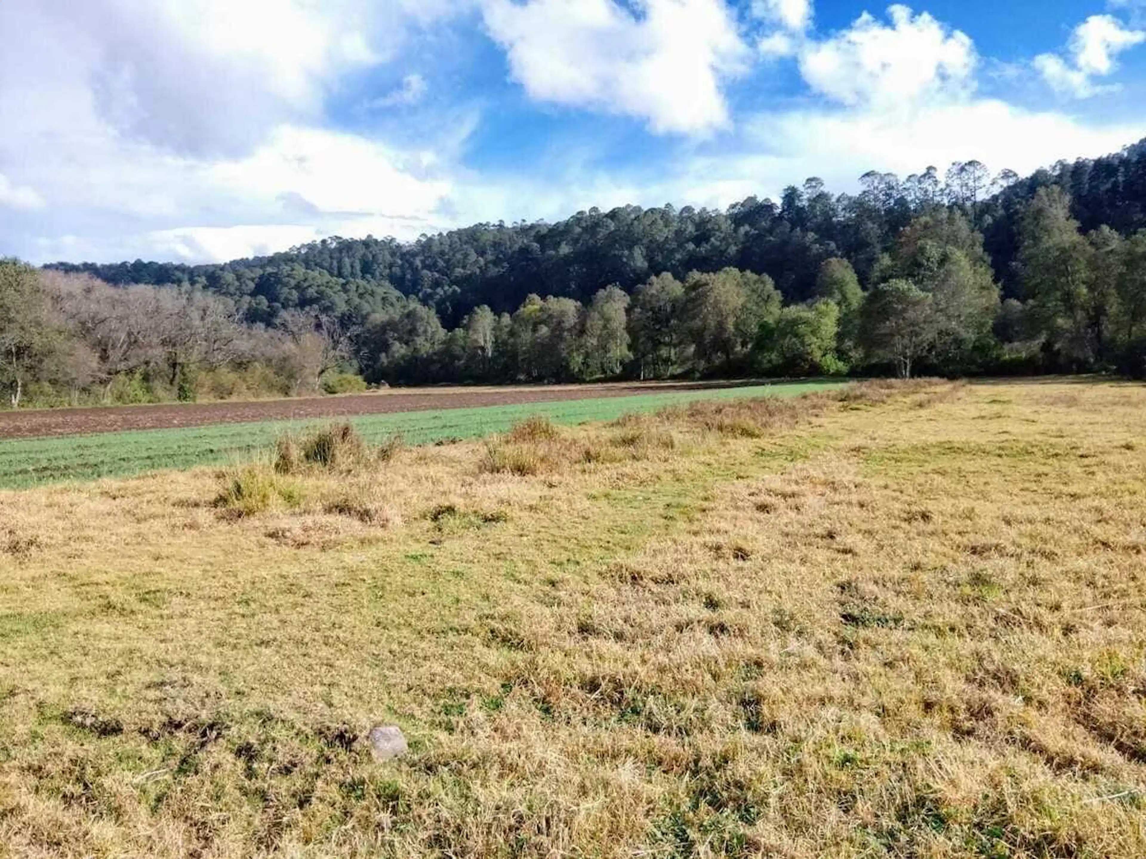 Terreno plano en venta en Amanalco, Edo. de México