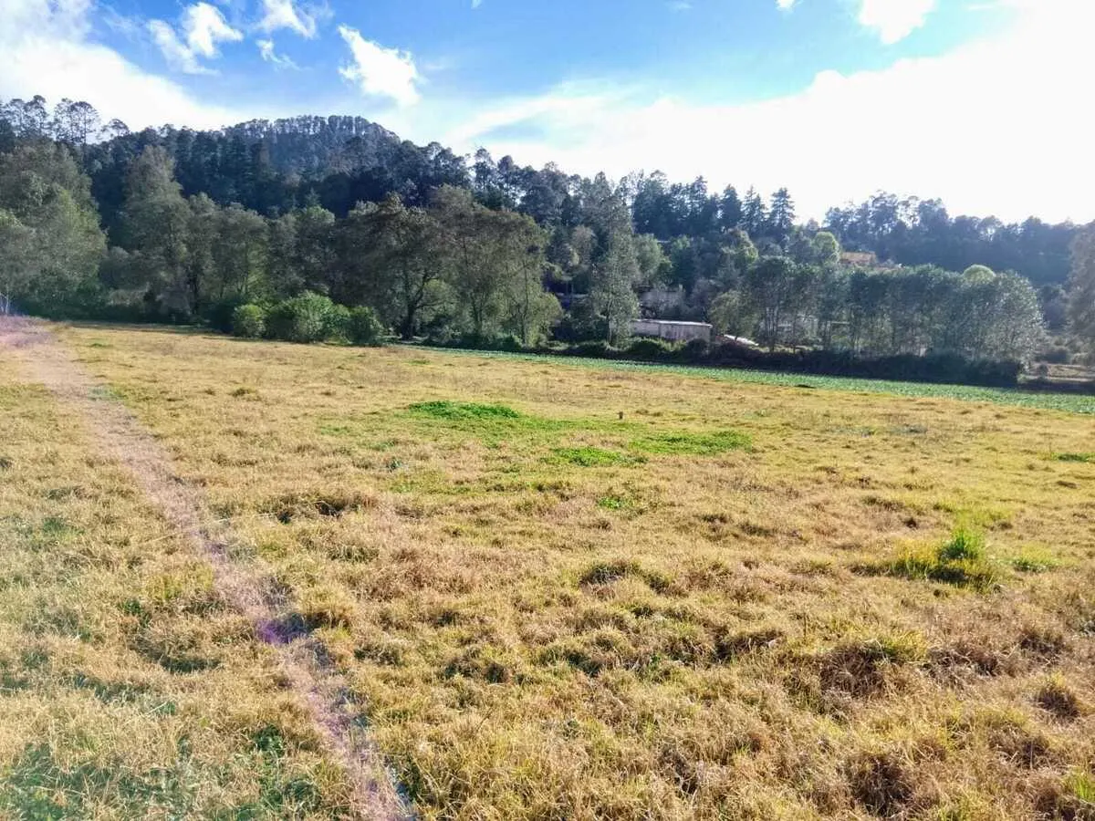 Terreno Spot2