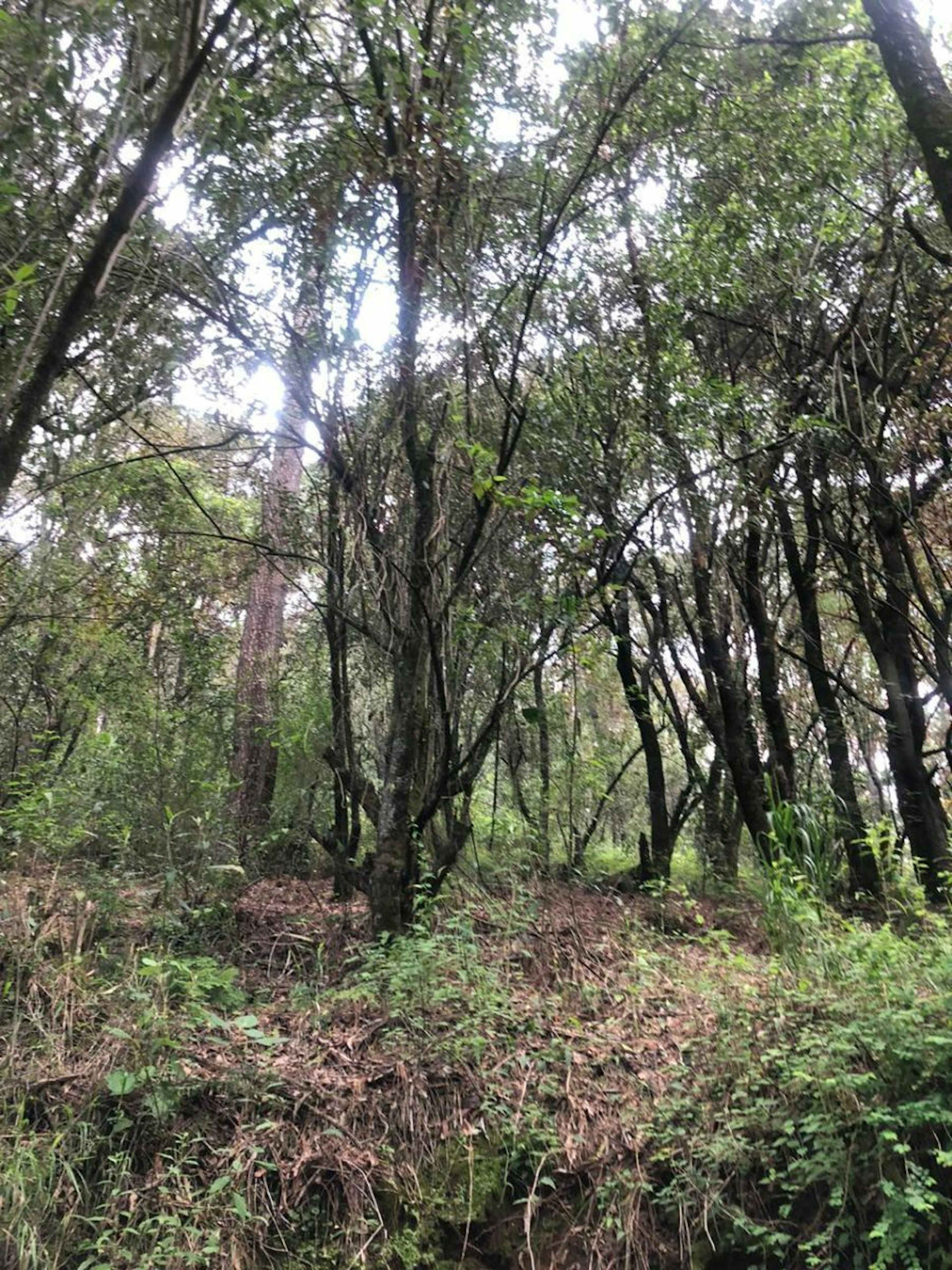 Terreno En Venta , Nicolas Romero