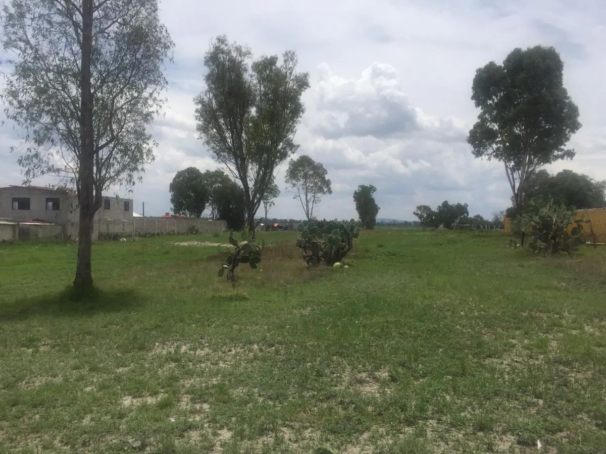 Terreno Spot2