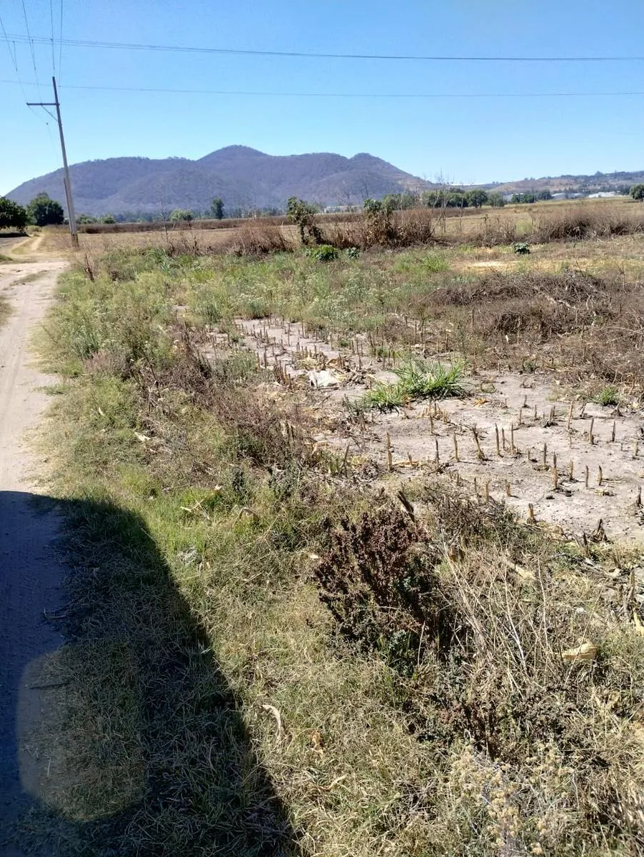 Terreno Spot2