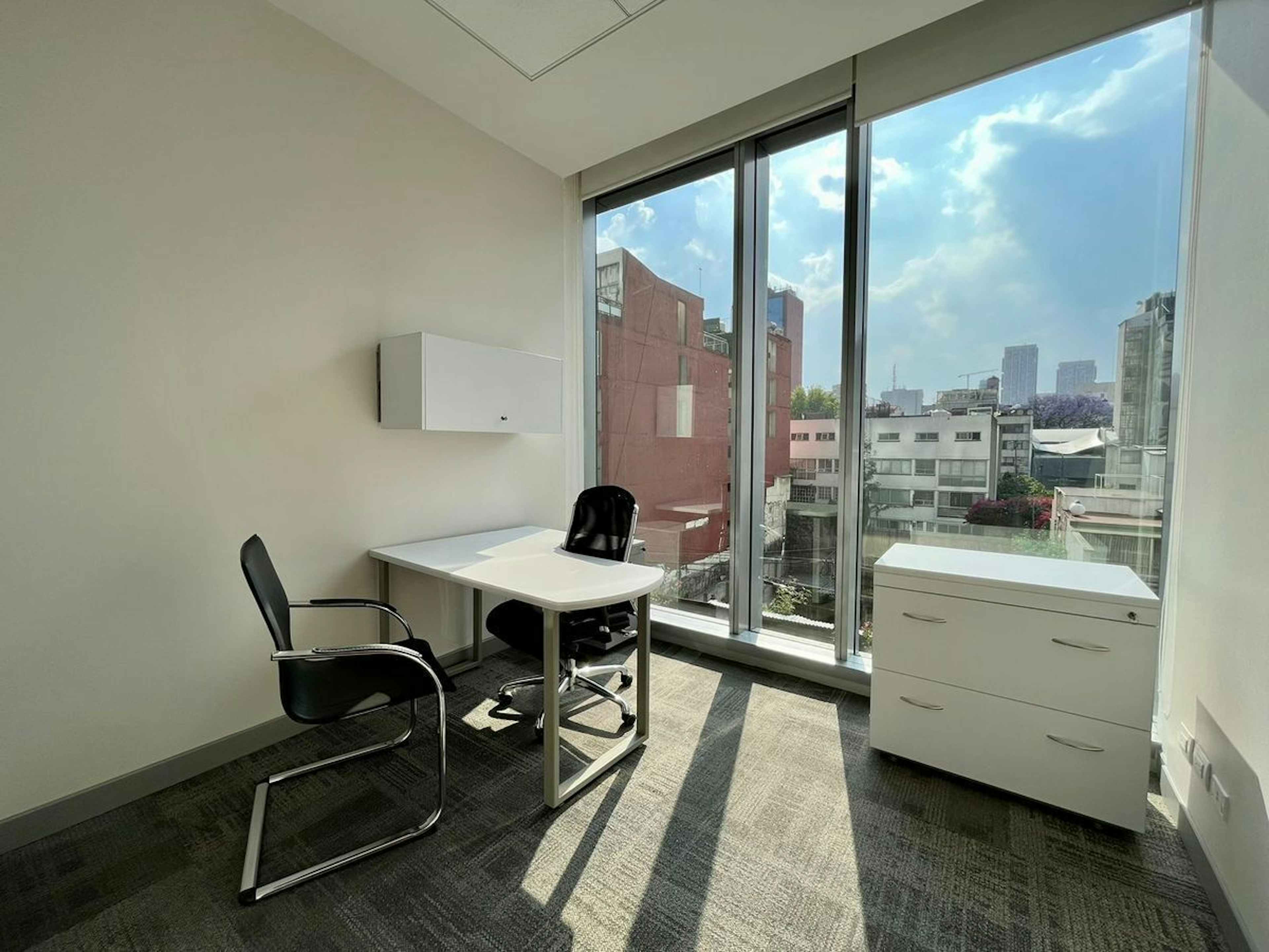 Avenida Ejército Nacional Mexicano 559