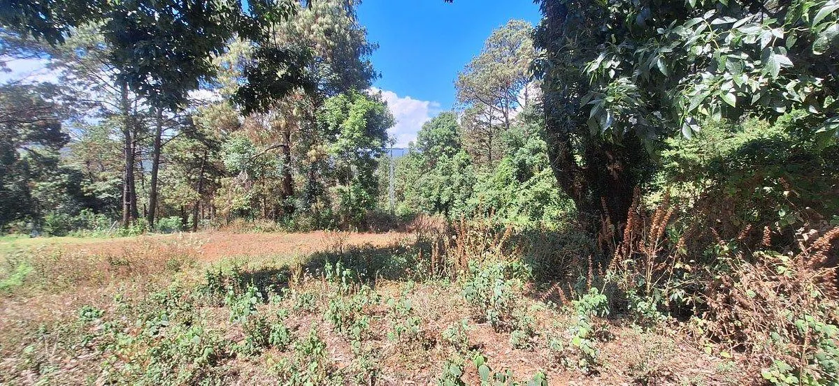 Terreno Spot2