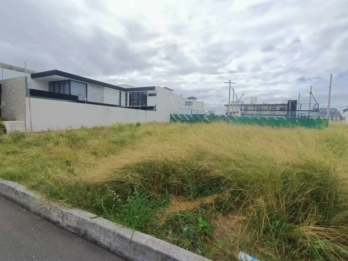 Terreno Spot2