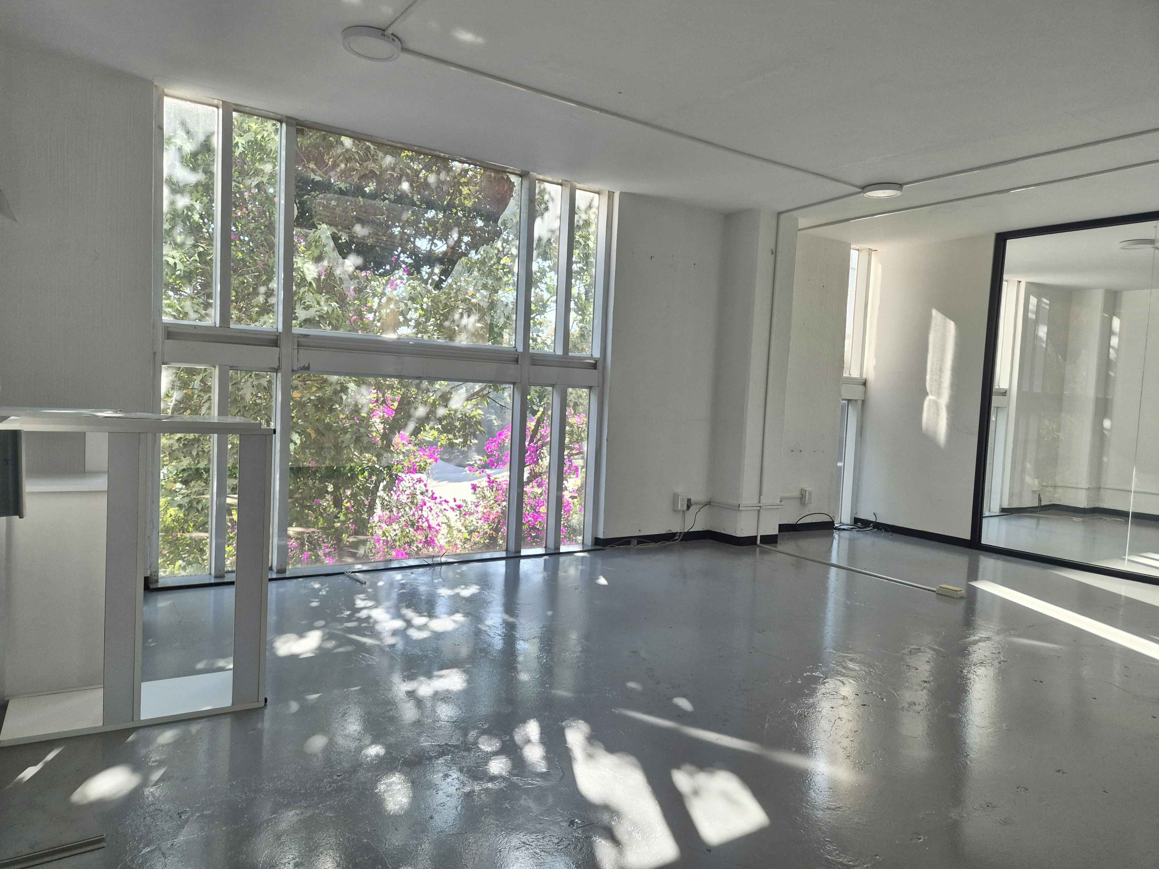 Avenida Insurgentes Sur 0010