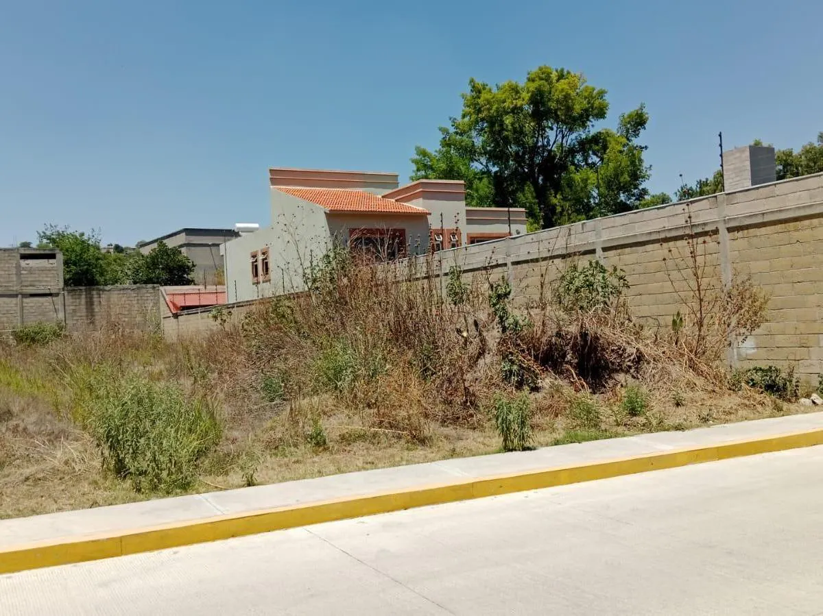 Terreno Spot2