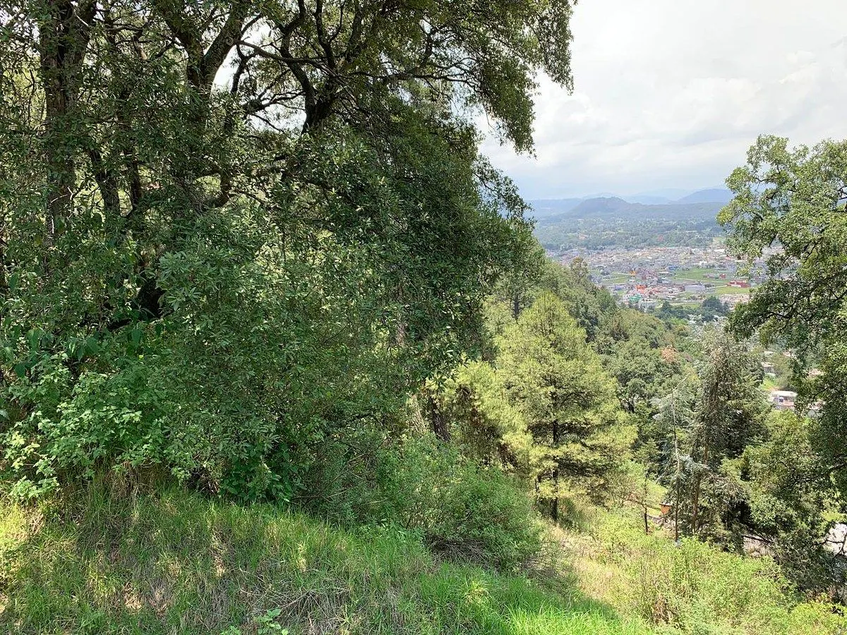 Terreno Spot2