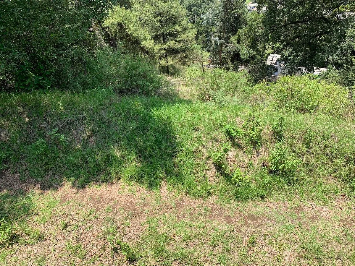 Terreno Spot2
