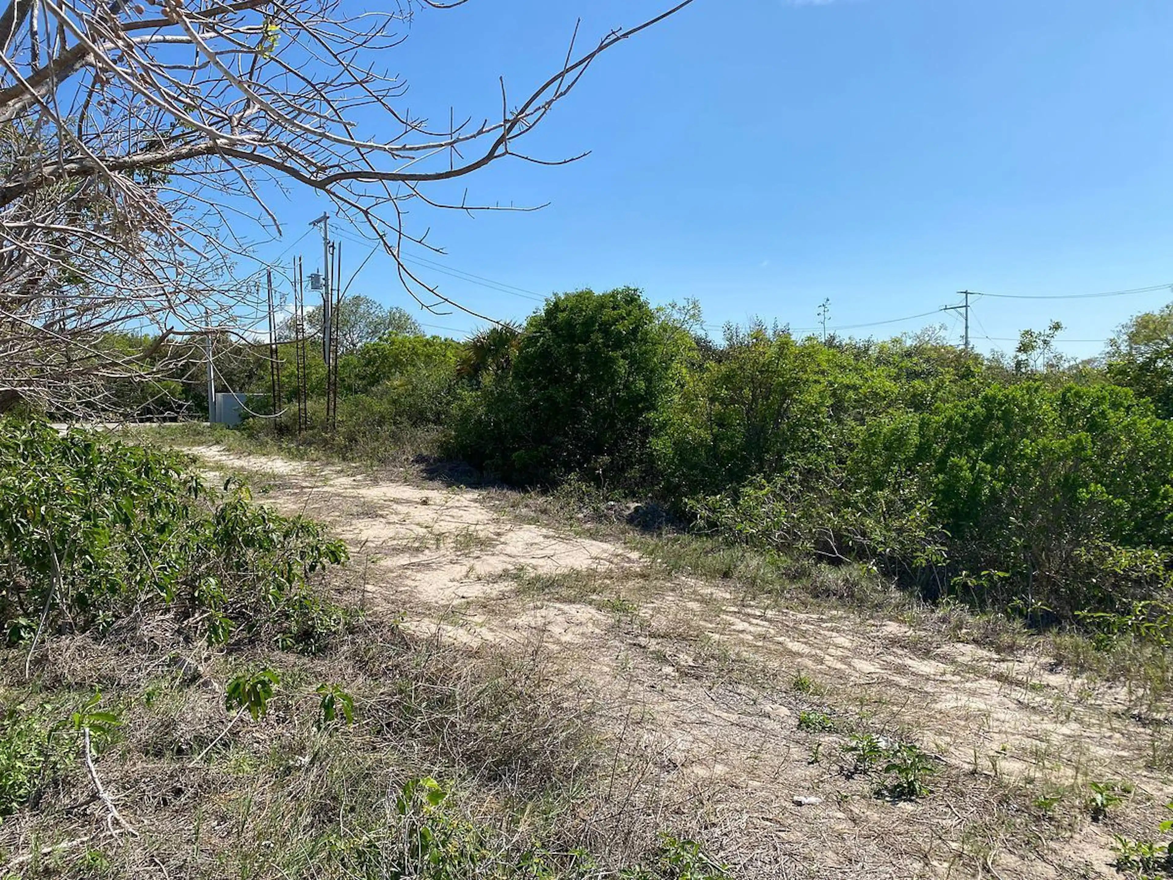 TERRENO EN VENTA – SAN BENITO, YUCATÁN