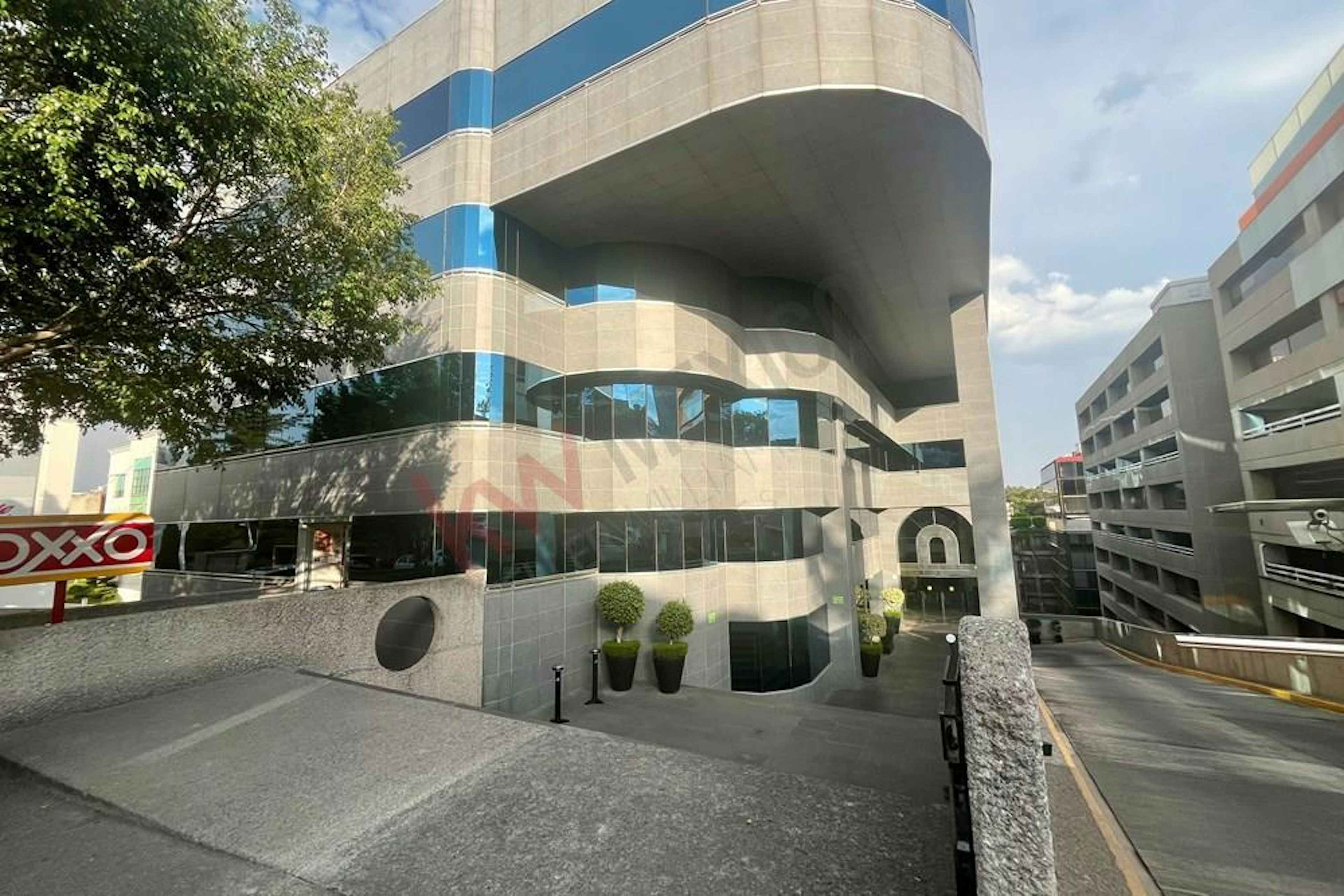 Bosque De Duraznos 75