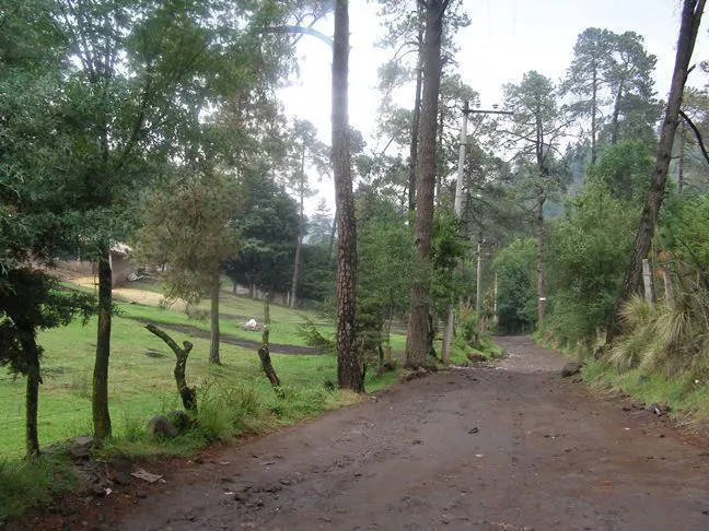 Terreno Spot2