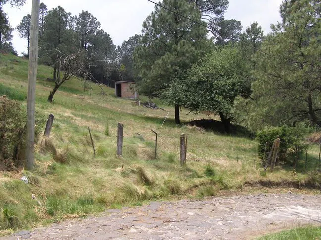 Terreno Spot2