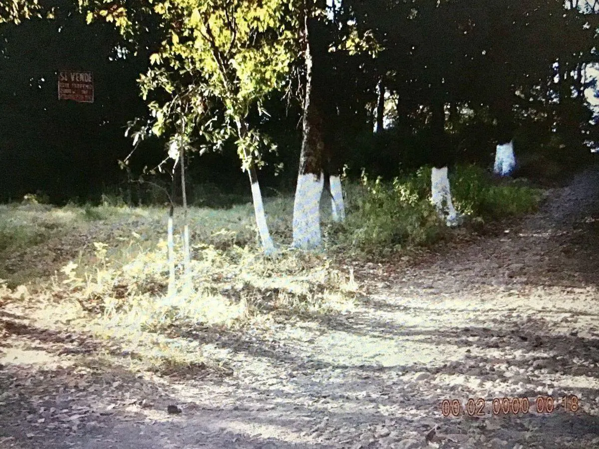Terreno Spot2