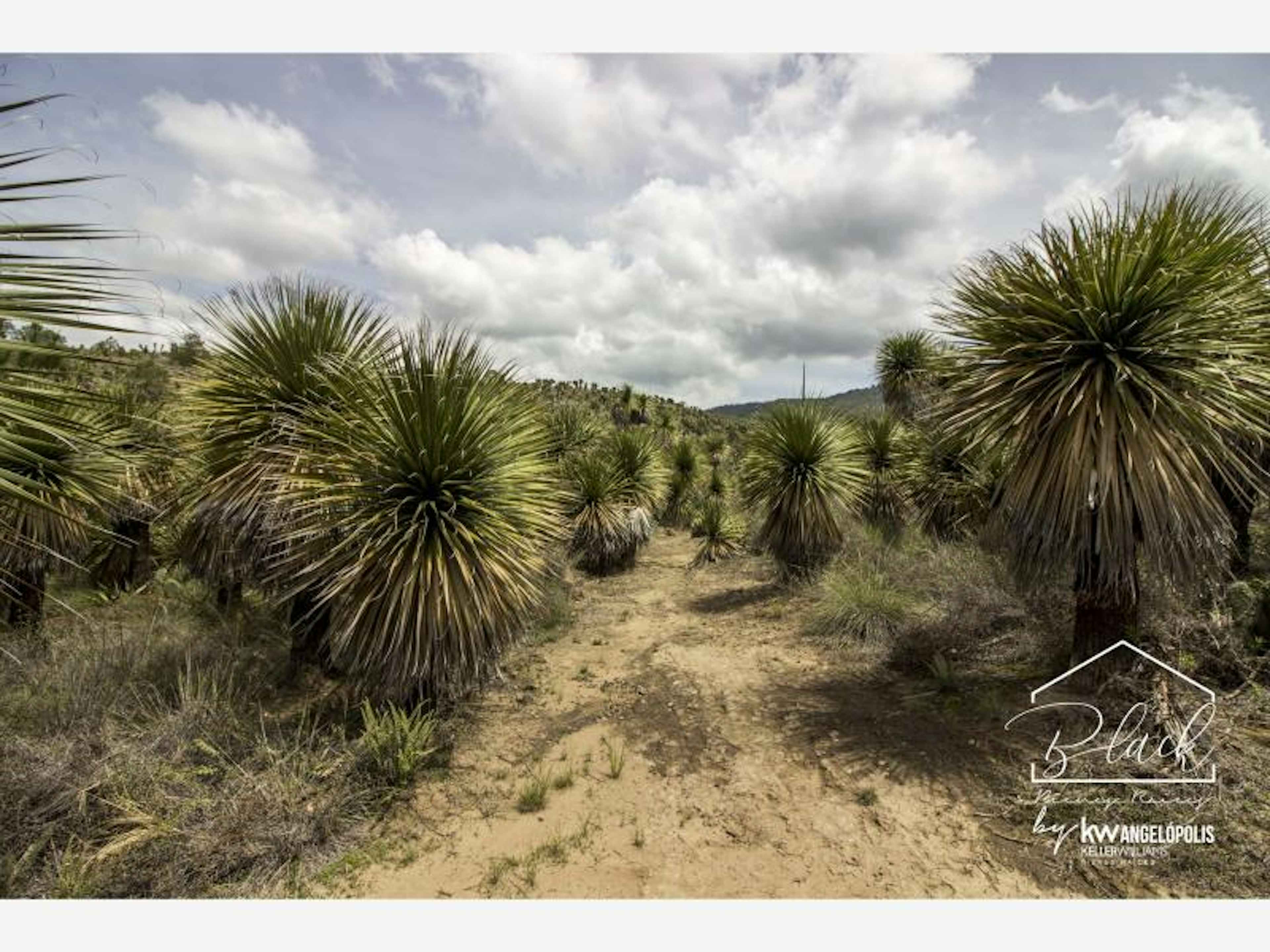 Terreno En Venta En San Antonio, Atltzayanca, Tlaxcala